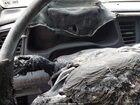 2020 Hyundai Elantra Value Edition Серебряный vin: KMHD84LF1LU995981