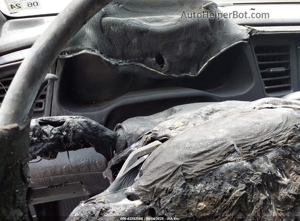 KMHD84LF1LU995981 2020 HYUNDAI ELANTRA Серебряный Вид задних сидений