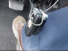 2016 Hyundai Veloster Turbo Black vin: KMHTC6AE1GU250010