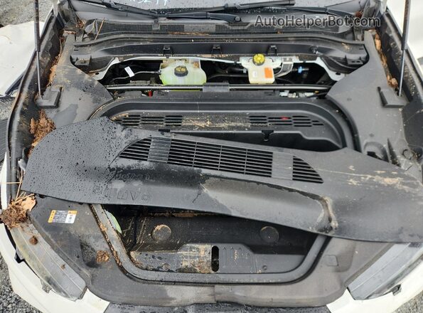 3FMTK1R45RMA15277 2024 FORD MUSTANG White VIN կոդի պիտակի տեսք