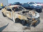 2024 Ford Mustang Gt Fastback Brown vin: 1FA6P8CF1R5419405