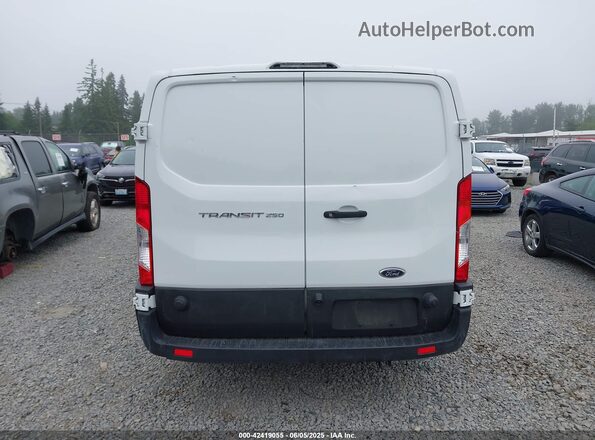1FTBR1Y82LKA71076 2020 FORD TRANSIT-250 White 