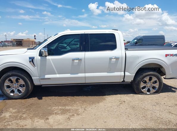 1FTFW1ED1PFB26840 2023 FORD F150 White სალონის 360-გრადუსიანი ხედი