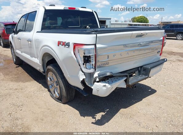 1FTFW1ED1PFB26840 2023 FORD F150 White წინა ხედი
