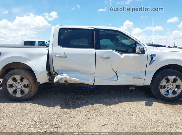 1FTFW1ED1PFB26840 2023 FORD F150 White უკანა სალონის ხედი