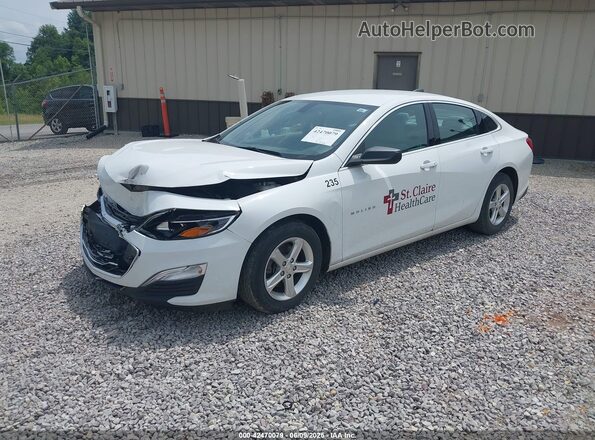 1G1ZC5ST6MF036094 2021 CHEVROLET MALIBU White Przód lewy