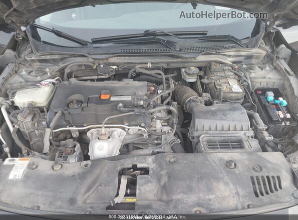 2HGFC2F72HH506116 2017 HONDA CIVIC Black უკანა ხედი