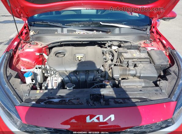 3KPF24AD6RE835781 2024 KIA FORTE Красный Вид сзади