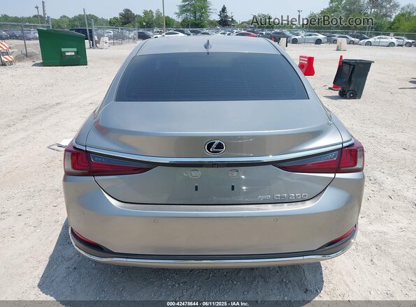 58AD11D11MU004357 2021 LEXUS ES 250 Silver 
