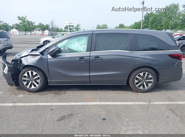 5FNRL6H61SB044586 2025 HONDA ODYSSEY Gray Панорамний вид салону 360°