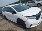 2024 Honda Odyssey Sport White vin: 5FNRL6H70RB020315