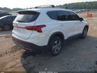 2023 Hyundai Santa Fe Sel White vin: 5NMS24AJ7PH572551