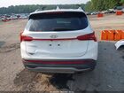 2023 Hyundai Santa Fe Sel White vin: 5NMS24AJ7PH572551