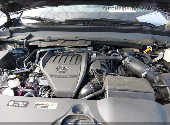 5TDABAB62SS009790 2025 LEXUS TX 500H Black Vista trasera