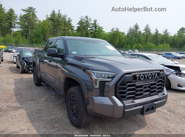 5TFPC5DB8PX030783 2023 TOYOTA TUNDRA HYBRID Gray Delantero derecho