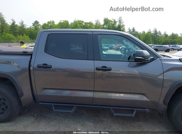 5TFPC5DB8PX030783 2023 TOYOTA TUNDRA HYBRID Gray Vista interior trasera