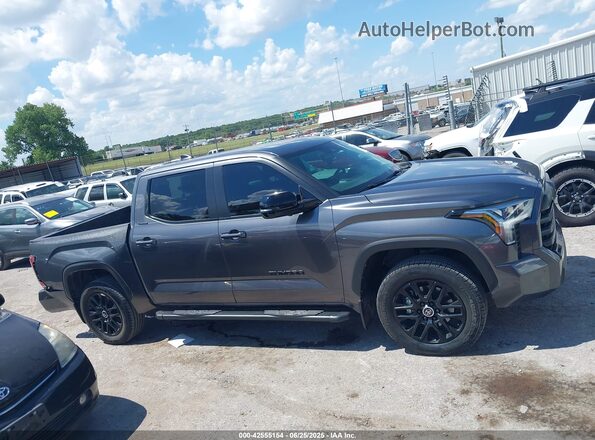 5TFWA5DB4RX171533 2024 TOYOTA LIMITED Серый Вид задней части салона