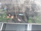 2020 Tesla Model 3 Performance Dual Motor All-wheel Drive Gray vin: 5YJ3E1EC3LF601710