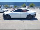 2020 Acura Tlx A-spec/a-spec W/red Leather White vin: 19UUB1F61LA008394