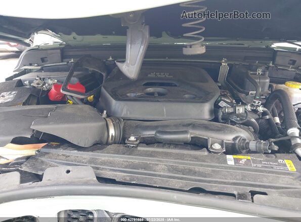 1C4HJXFN4PW603083 2023 JEEP WRANGLER Зеленый Вид сзади