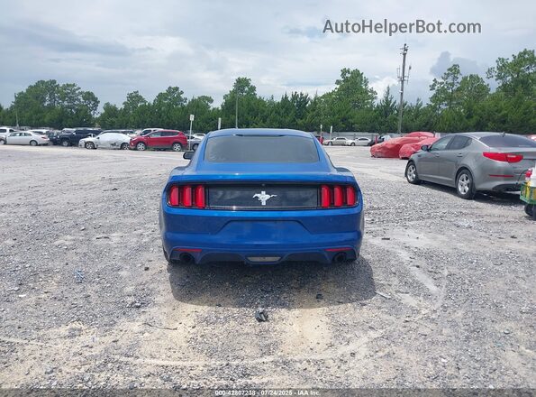 1FA6P8AMXH5342968 2017 FORD MUSTANG Синий 