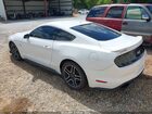 2019 Ford Mustang Gt Premium Белый vin: 1FA6P8CF0K5186381