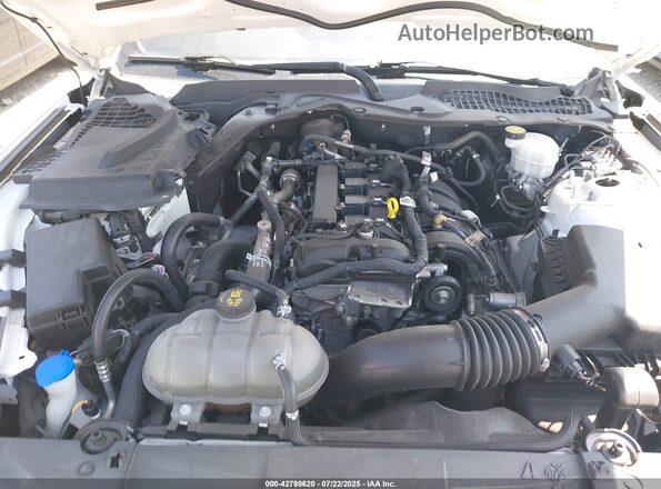 1FA6P8TH2M5151703 2021 FORD MUSTANG Белый Вид сзади