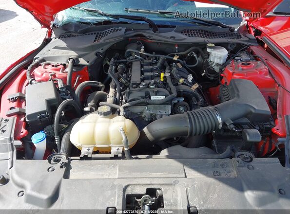 1FA6P8TH9M5147096 2021 FORD MUSTANG Красный Вид сзади