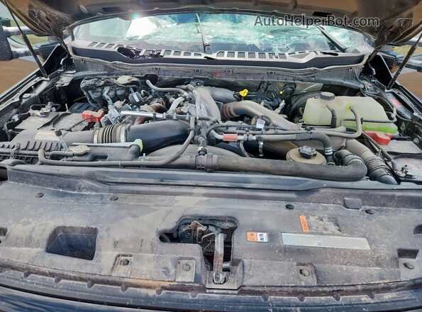 1FT8W2BM3REF93107 2024 FORD F250 Gray Սալոնի հետևի տեսք