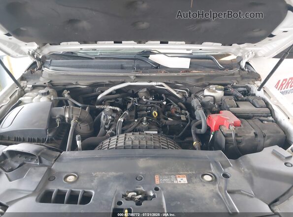 1FTER1EH5MLD72714 2021 FORD RANG White Widok z tyłu