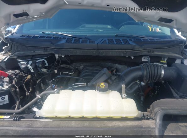 1FTEW1C56PFC07419 2023 FORD F150 White Widok z tyłu