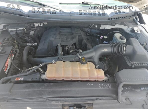 1FTMF1CP0GKD41301 2016 FORD F150 Белый Вид задней части салона