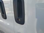2021 Chevrolet Express G2500   vin: 1GCWGAFP2M1303233