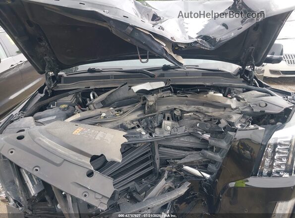 1GYS4GKJ9LR250360 2020 CADILLAC ESCALADE Черный Вид сзади