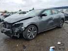 2023 Nissan Maxima Sv Gray vin: 1N4AA6CV8PC510963