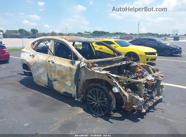 2T2ADCAZXSC022079 2025 LEXUS NX 250 Black Передня права чверть