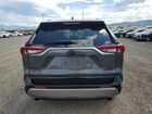 2023 Toyota Rav4 Xse Gray vin: 2T3E6RFV8PW041879