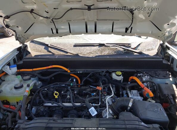 3FTTW8E3XPRA28783 2023 FORD MAVERICK Green უკანა ხედი