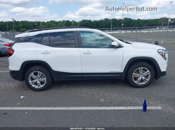 3GKALTEG4PL239135 2023 GMC TERRAIN Белый Вид задней части салона