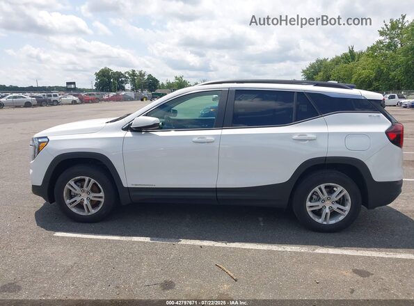 3GKALTEG4PL239135 2023 GMC TERRAIN Белый Панорамный вид салона 360°