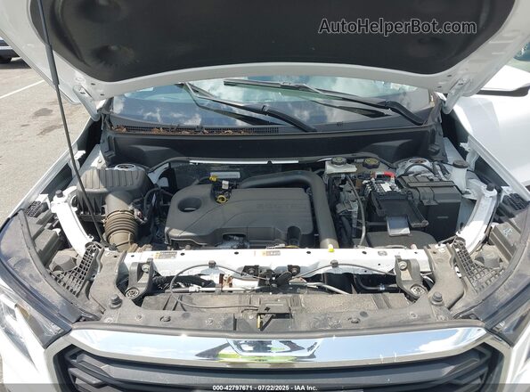 3GKALTEG4PL239135 2023 GMC TERRAIN Белый Вид сзади