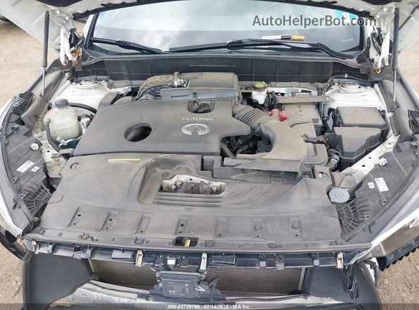 3PCAJ5M34LF108937 2020 INFINITI QX50 Белый Вид сзади