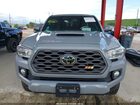 2021 Toyota Tacoma Trd Sport Gray vin: 3TYCZ5ANXMT035307