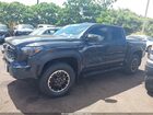 2025 Toyota Tacoma Hybrid Trd Sport Gray vin: 3TYLC5LN0ST016423