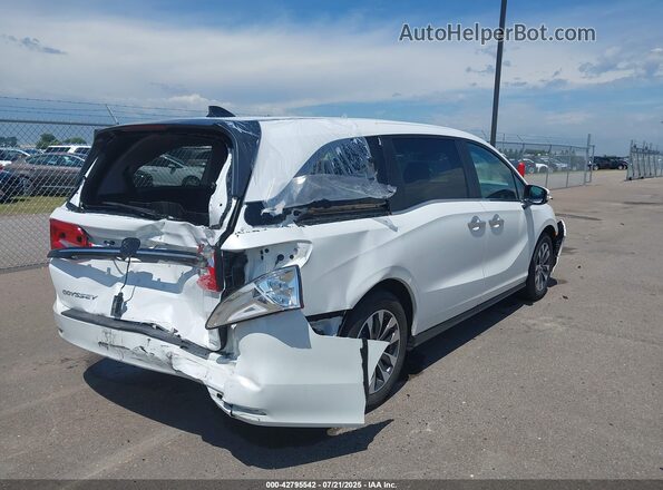 5FNRL6H68RB016472 2024 HONDA ODYSSEY Белый Задняя правая четверть