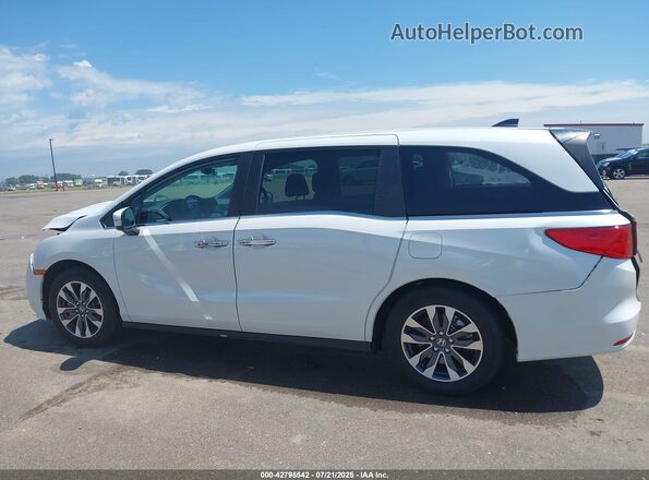 5FNRL6H68RB016472 2024 HONDA ODYSSEY Белый Панорамный вид салона 360°