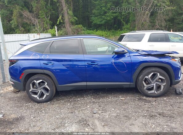 5NMJF3AE8PH254211 2023 HYUNDAI TUCSON Синий Вид задней части салона