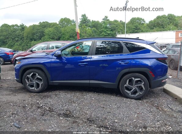 5NMJF3AE8PH254211 2023 HYUNDAI TUCSON Синий Панорамный вид салона 360°