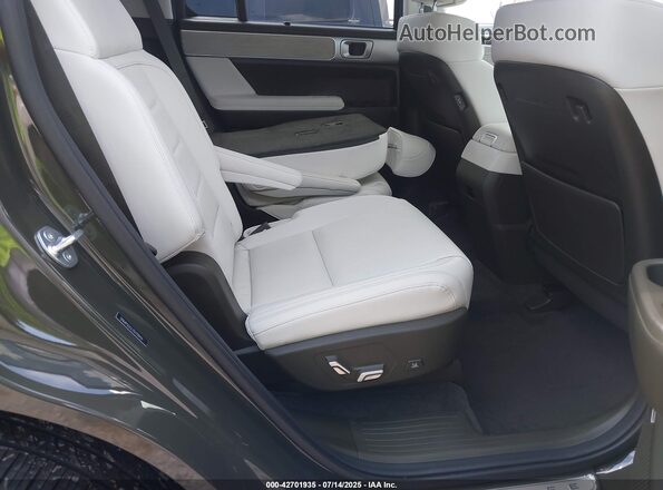 5NMP5DGL2SH110459 2025 HYUNDAI SANTA FE CALLIGRAPHY Green Вид наклейки з VIN-кодом
