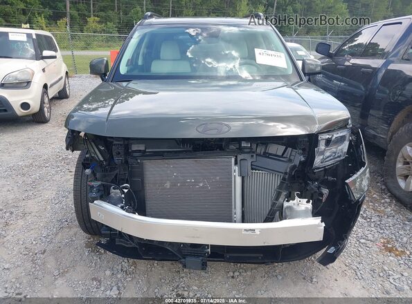 5NMP5DGL2SH110459 2025 HYUNDAI SANTA FE CALLIGRAPHY Green Вид щитка приладів